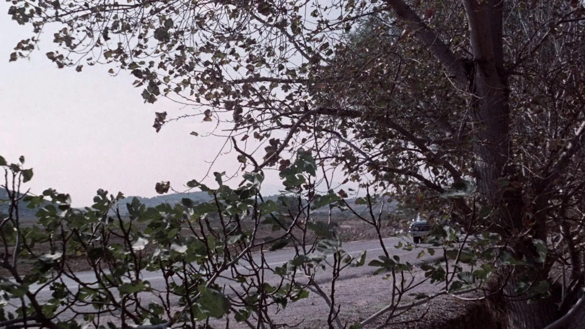 The Devil's Men (1976)