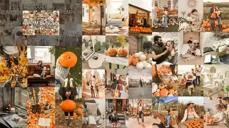 Warm Mobile & Desktop Lightroom Presets Bundle