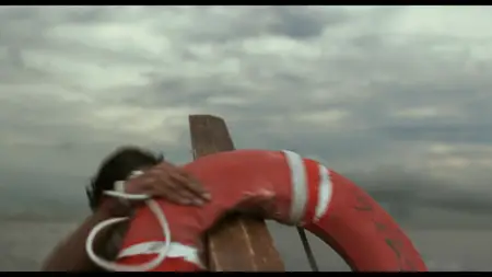 Life of Pi (2012)