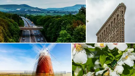 Advanced Techniques in Photoshop and Lightroom