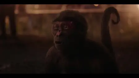 ted S01E01