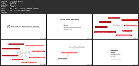 Master Secure Software Development : Complete Csslp Guide