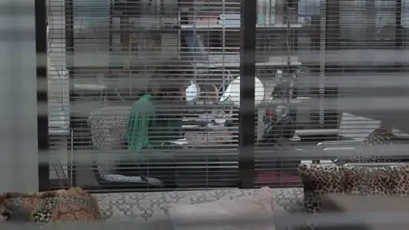The Paper S01E04
