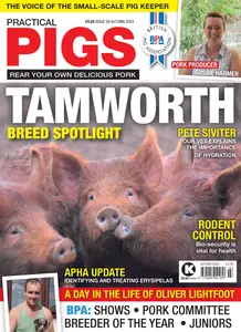 Practical Pigs - Autumn 2024