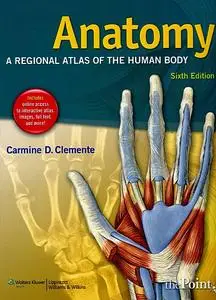 Anatomy: A Regional Atlas of the Human Body (6th edition)  (Repost)