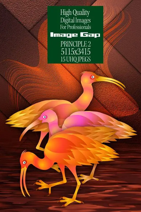 Image Gap Principle 2 - HQ Illustrations for only Print and Wallpapers