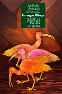 Image Gap Principle 2 - HQ Illustrations for only Print and Wallpapers