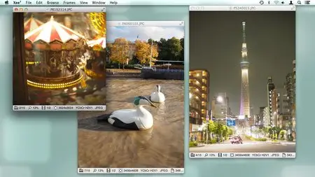 Agren Xee v3.3 Mac OS X