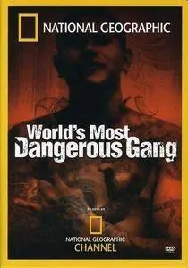 National Geographic Explorer - World's Most Dangerous Gang (2006)