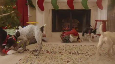 Puppies Crash Christmas (2017)