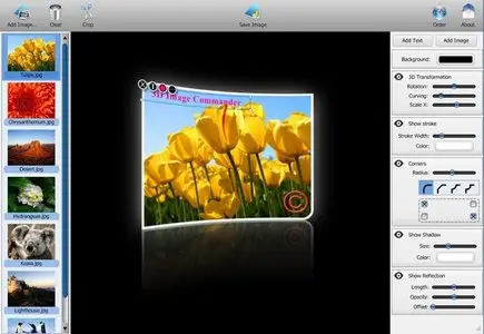 Binerus 3D Image Commander 2.07 for Windows / Linux / MacOSX