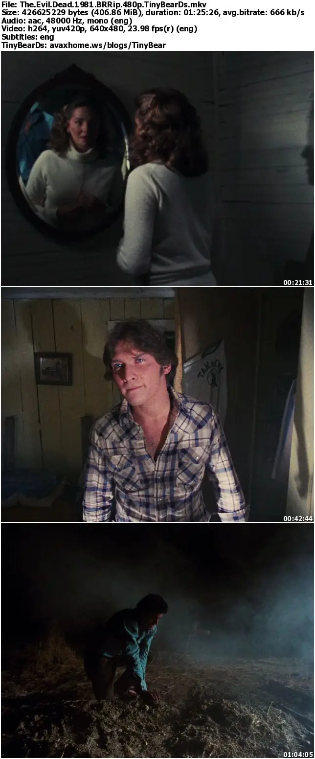 The Evil Dead (1981)