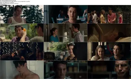 The Spectacular Now (2013)
