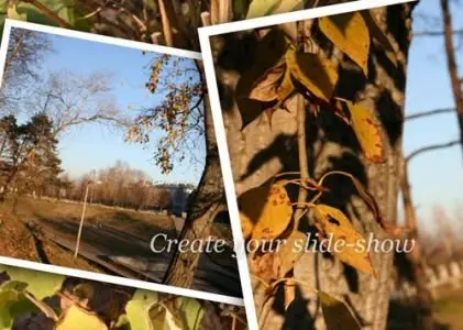 PicturesToExe Deluxe 5.60