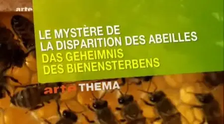 (Arte) Le mystère de la disparition des abeilles (2010)