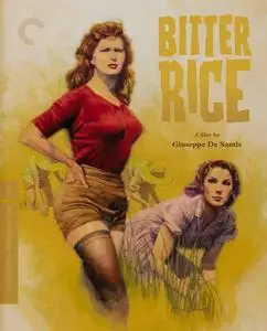 Bitter Rice (1949) [Criterion] + Extras