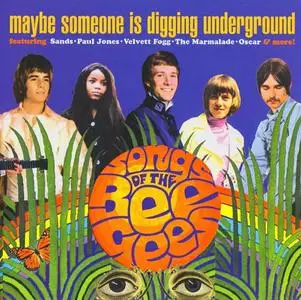 VA - Maybe Someone Is Digging Underground: The Songs Of The Bee Gees (2004)