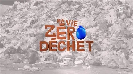 (Fr2) Ma vie zéro déchet (2015)