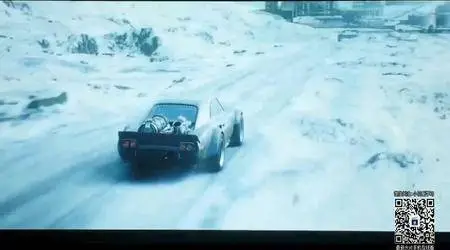 The Fate of the Furious (2017)