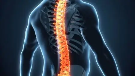 Pranayama for Back Pain: Cosmic Energy Healing for Spine