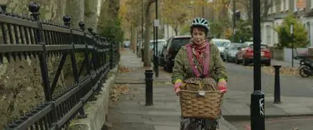 Finding Your Feet (2017)