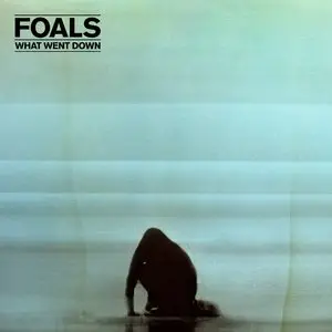 Foals - What Went Down (2015) [Official Digital Download]