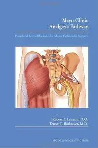 Mayo Clinic Analgesic Pathway: Peripheral Nerve Blockade for Major Orthopedic Surgery (Repost)