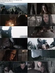 Ironclad: Battle for Blood (2014)