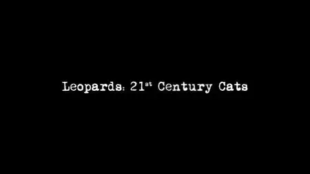 BBC Natural World - Leopards: 21st Century Cats (2013)
