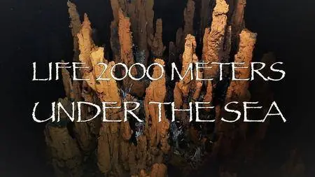 ZED - Life 2,000 Meters under the Sea (2016)