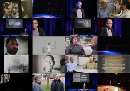 Who We Are: A Chronicle of Racism in America (2022)