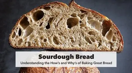 Sourdough Bread: Understanding How's and Why's to Baking Great Bread!
