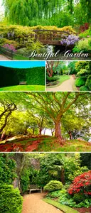 Stock Photo - Beatiful Garden