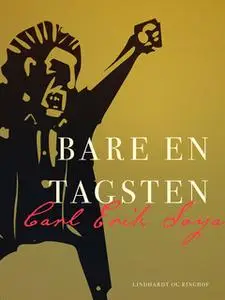 «Bare en tagsten» by Carl Erik Soya