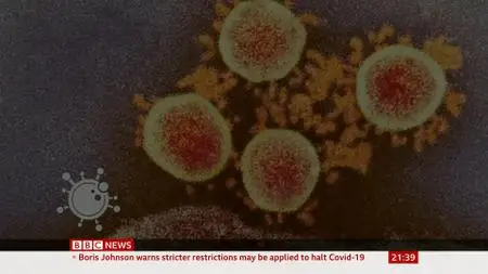 BBC News - CoronaVirus-Health Information and Advice (2020)