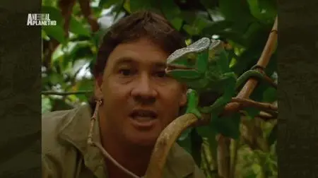 Animal Planet - The Crocodile Hunter Best of Steve: Reptiles Lost Continent (2018)