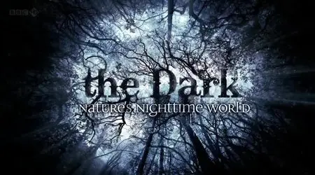 BBC - The Dark: Nature's Nighttime World (2012)