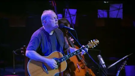David Gilmour - In Concert (2002) (repost)