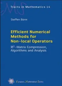 Efficient Numerical Methods for Non-local Operators: H2 Matrix Compression, Algorithms and Analysis [Repost]