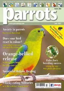 Parrots – July 2021