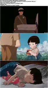 Grave Of The Fireflies (1988)