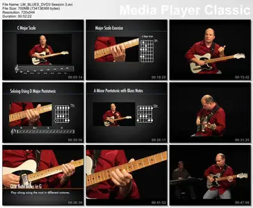 Learn and Master Blues Guitar with Steve Krenz (2010)