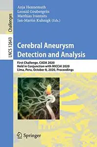 Cerebral Aneurysm Detection and Analysis