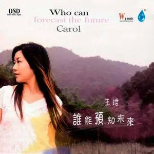 'Carol' Wang Jun - Collection (2004-2013)