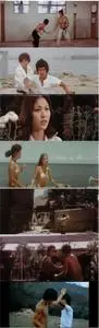 The Clones of Bruce Lee (1980) Shen wei san meng long