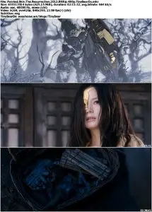 Painted Skin: The Ressurection (2012) [Reuploaded]