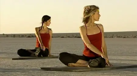 Power Yoga - Ursula Karven