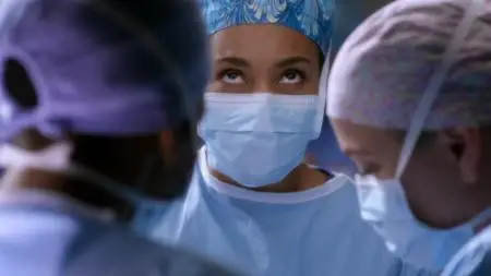 Grey's Anatomy S13E19
