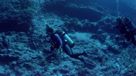 Coral Reef Adventure (2003)