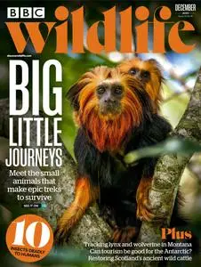 BBC Wildlife - December 2023